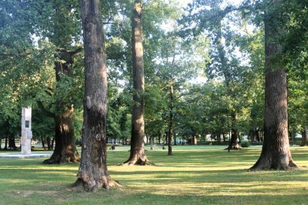 Park 1. slovenskega tabora Ljutomer2